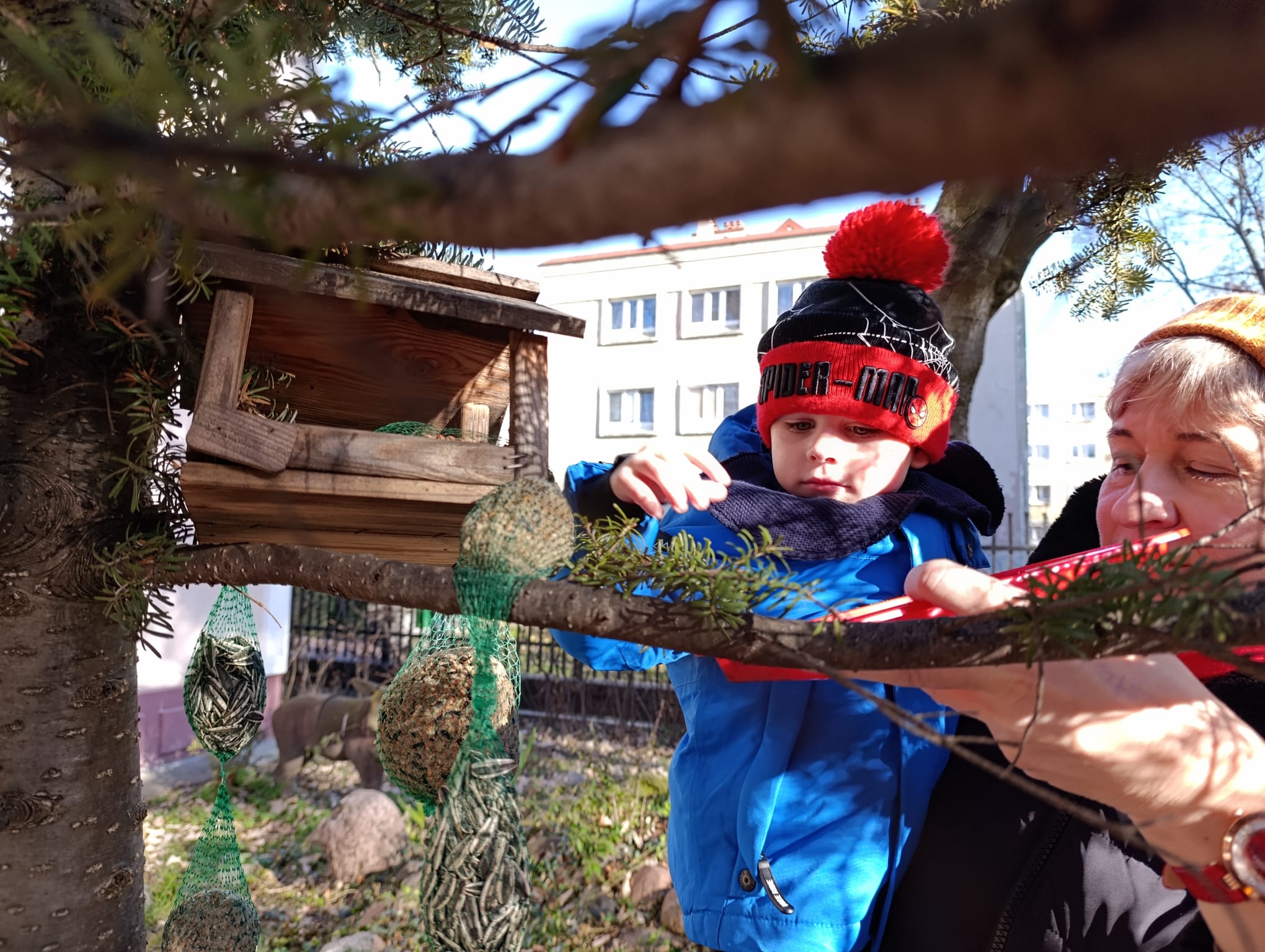 IMG-20250130-WA0003