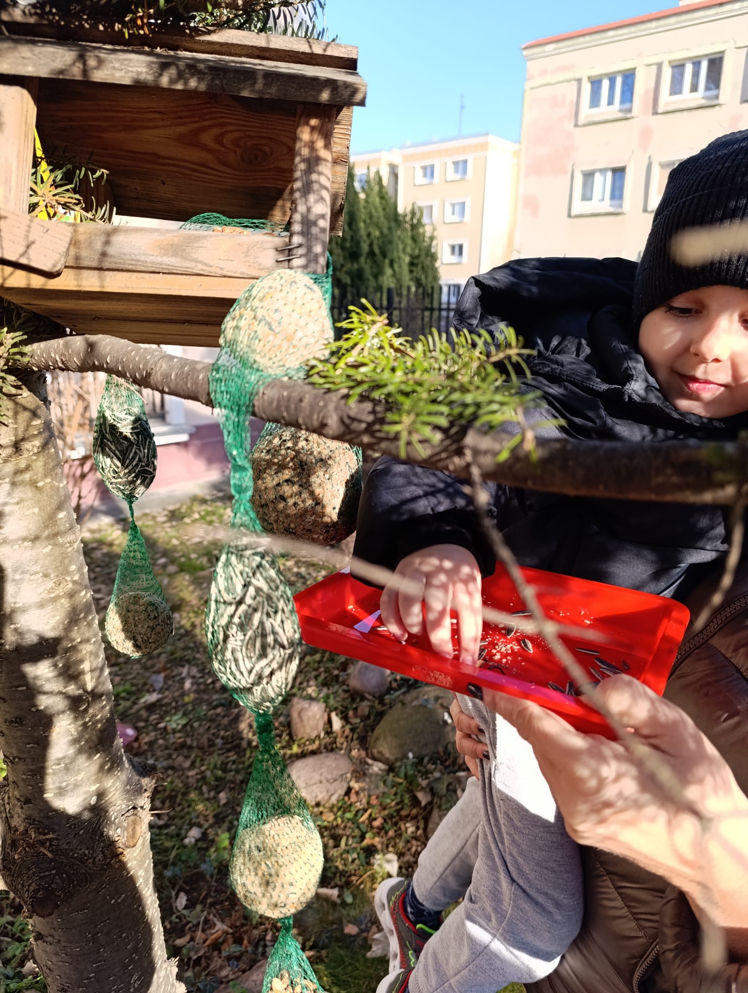 IMG-20250130-WA0016