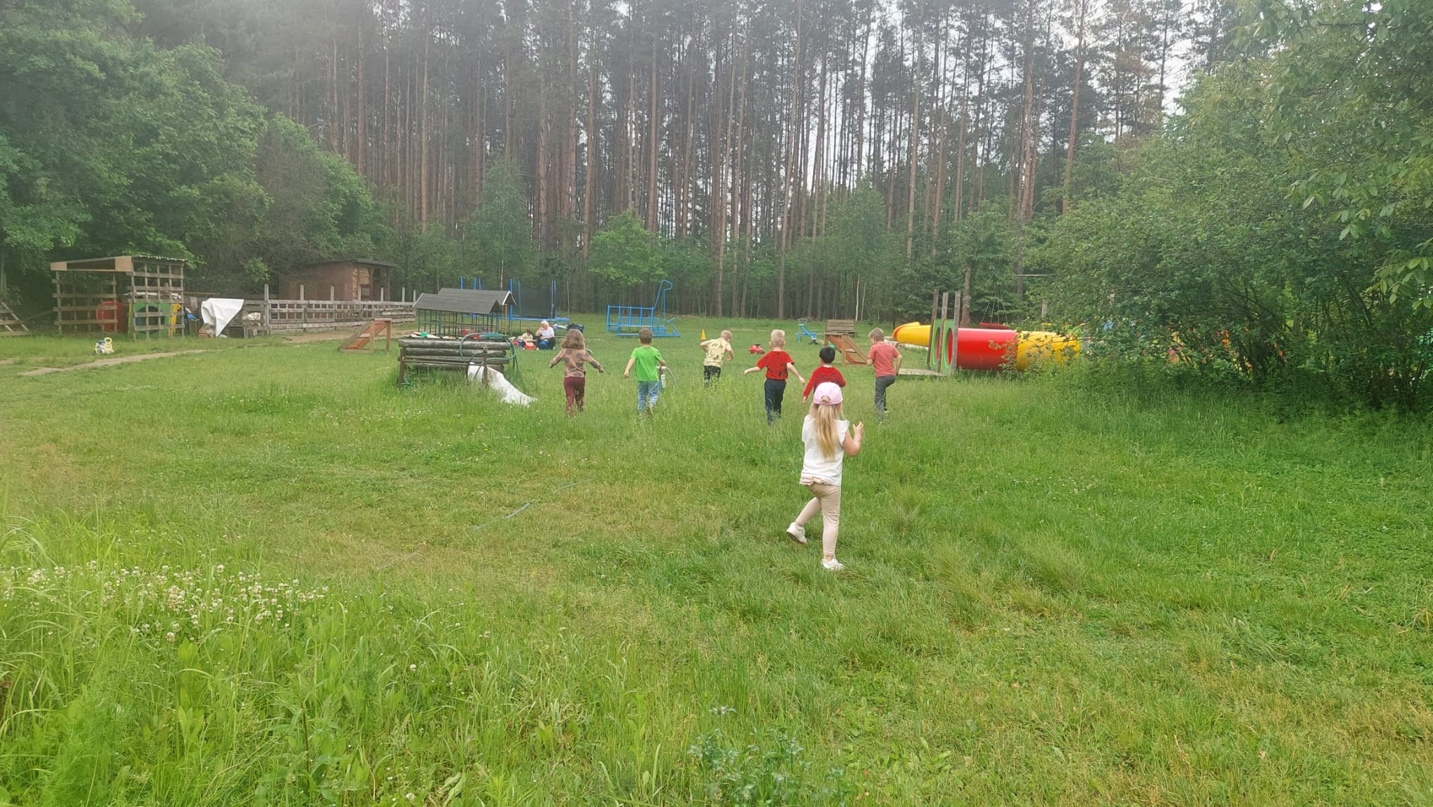 IMG-20250603-WA0039