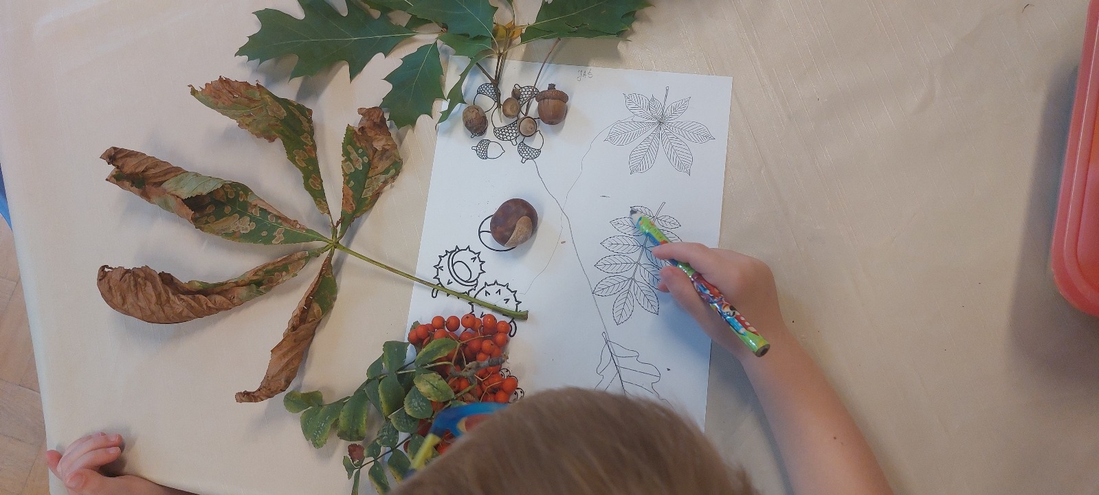 9WhatsApp Image 2025-10-25 at 21.57.32