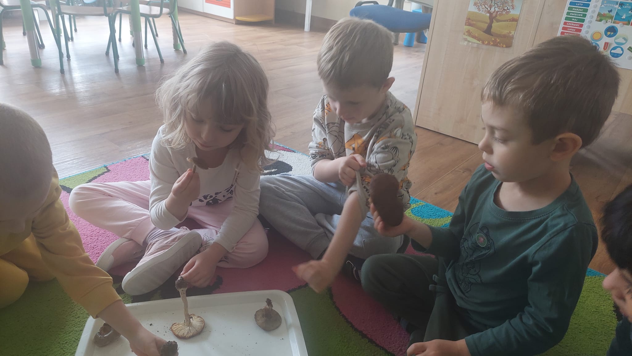 WhatsApp Image 2025-10-06 at 19.08.48 (7)