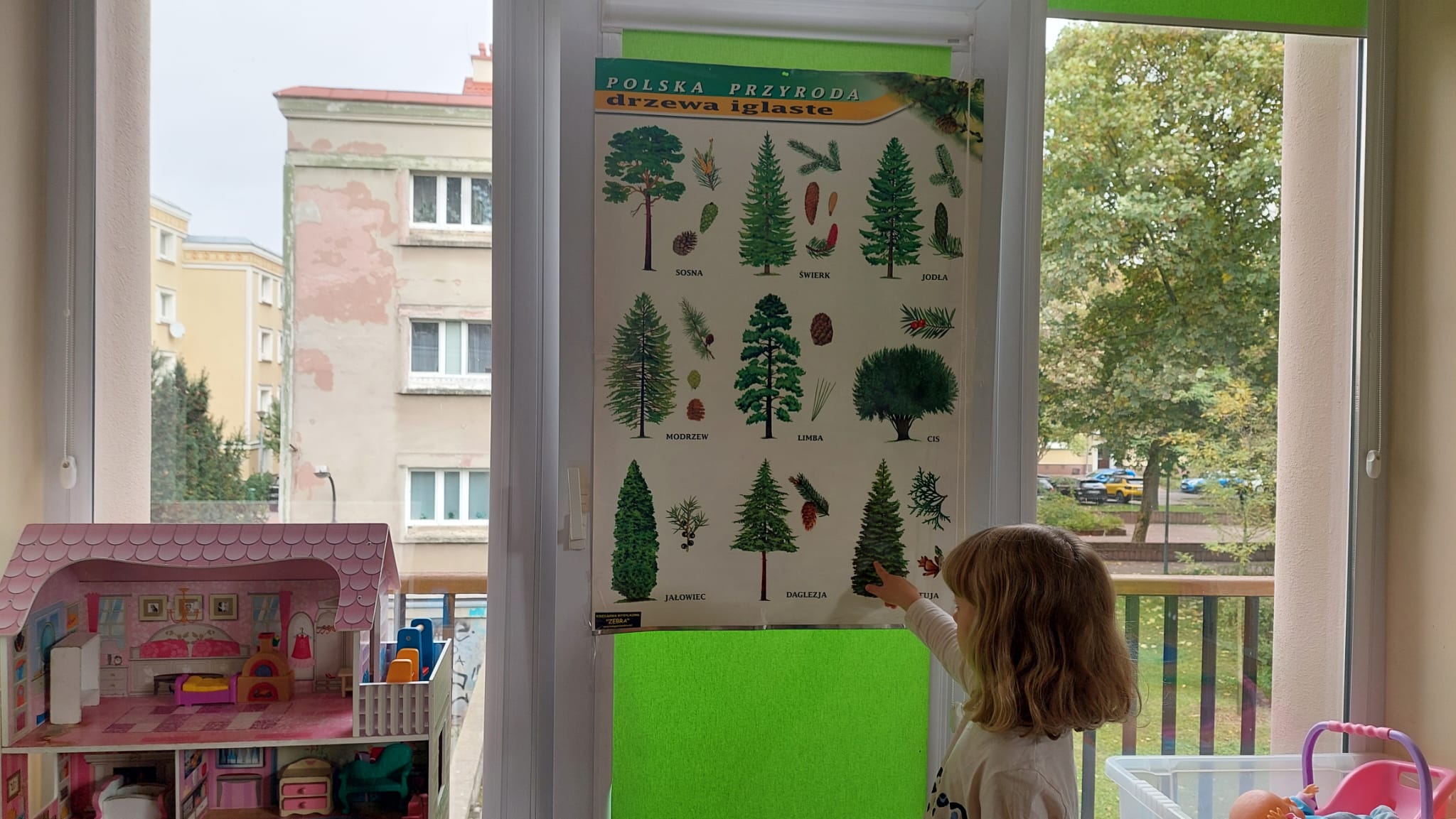 WhatsApp Image 2025-10-24 at 21.51.33 (4)