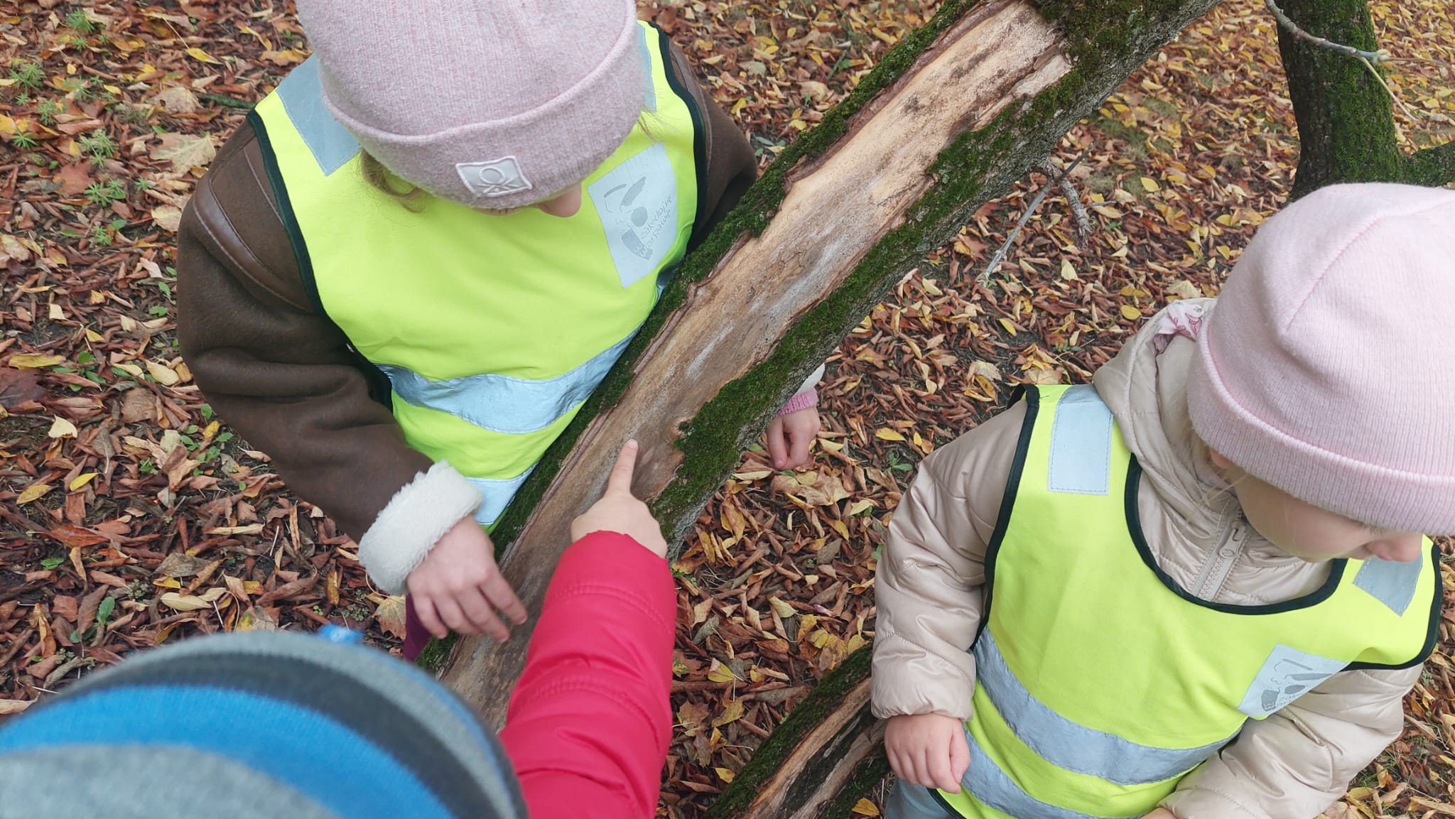 WhatsApp Image 2025-10-24 at 21.51.36 (6)