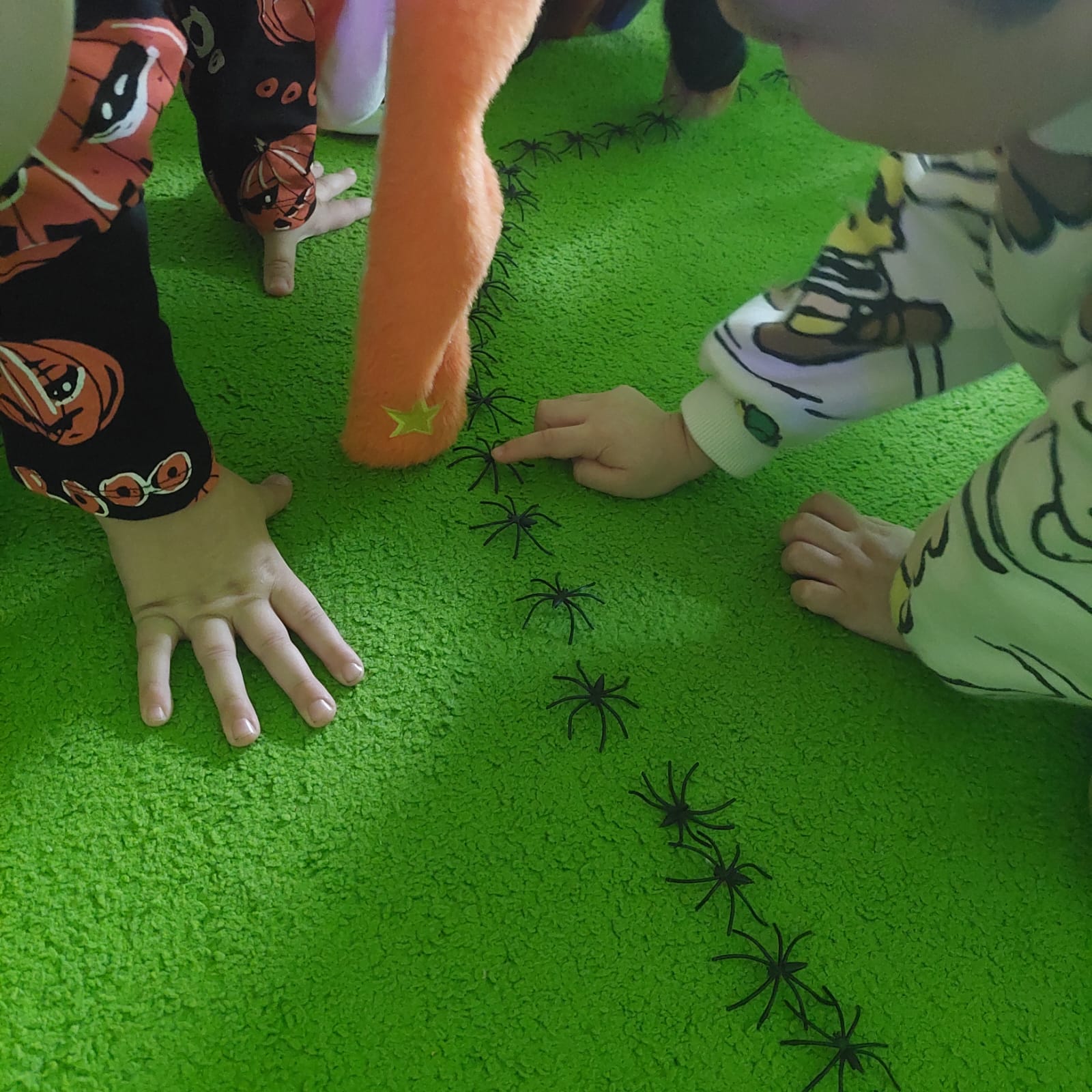 WhatsApp Image 2025-10-31 at 17.54.02 (3)