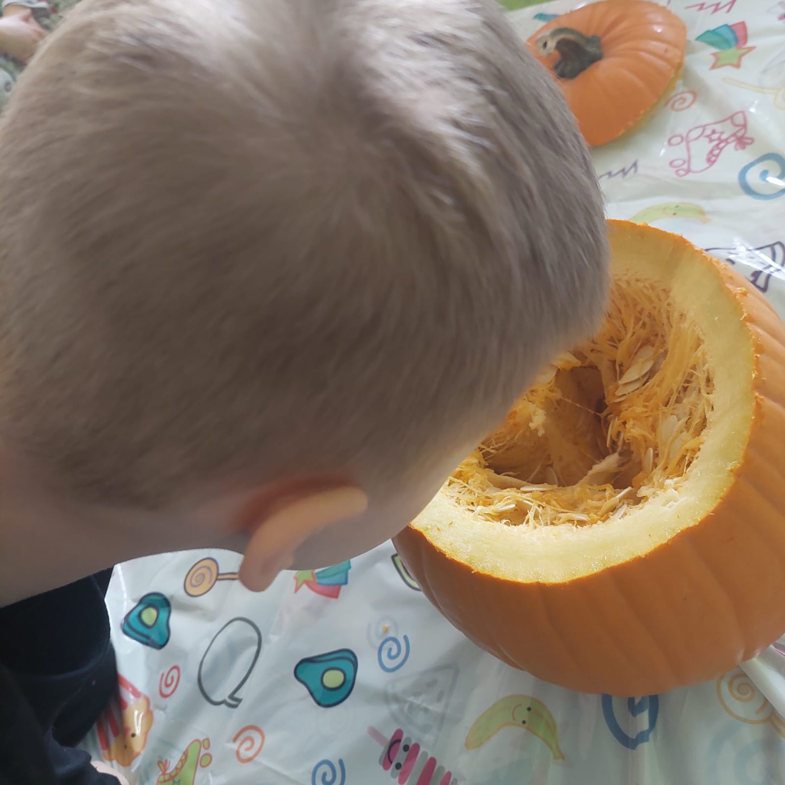 WhatsApp Image 2025-10-31 at 17.54.06 (5)