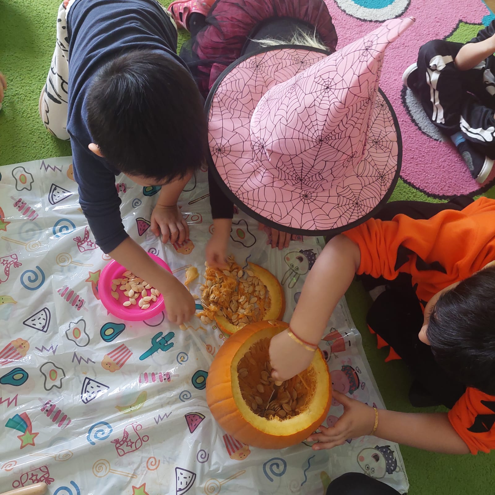 WhatsApp Image 2025-10-31 at 17.54.07 (3)