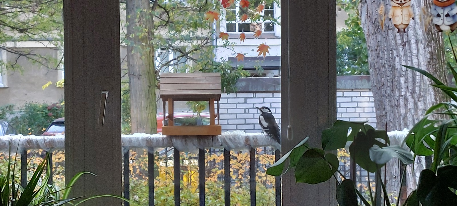 WhatsApp Image 2025-11-22 at 18.30.35