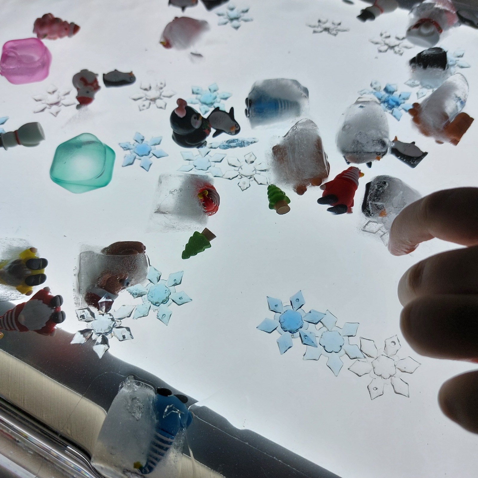 WhatsApp Imag25-12-06 at 16.15.50