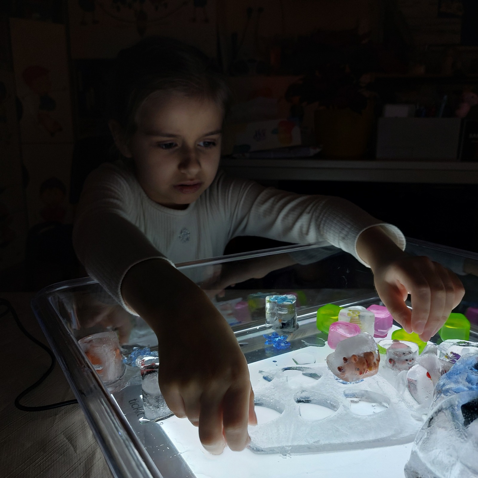 WhatsApp Image 025-12-06 at 16.15.46