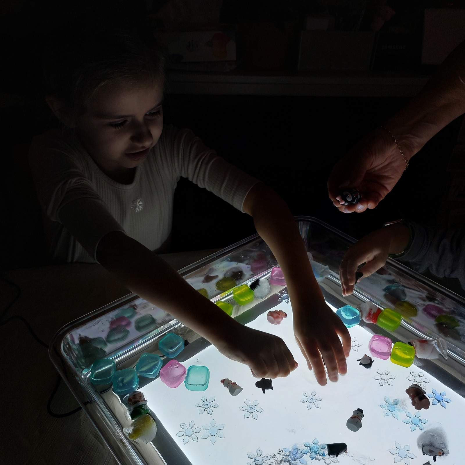 WhatsApp Image 2025-1 at 16.15.48