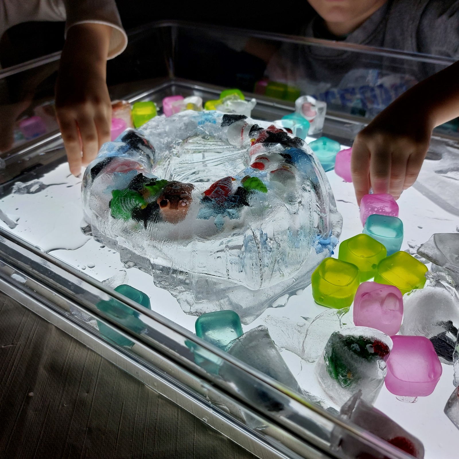 WhatsApp Image 2025-12-06 at 16.15.5