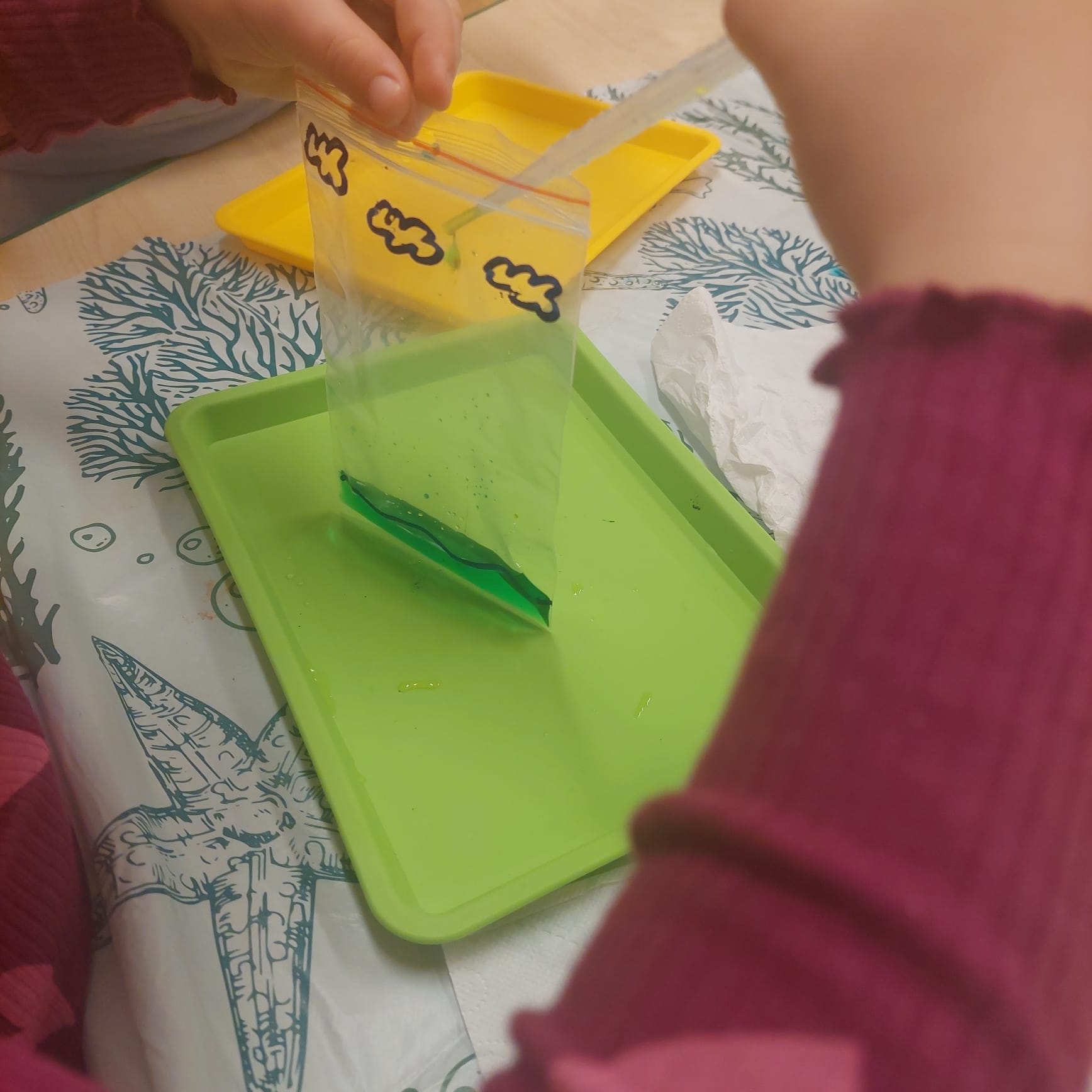 WhatsApp Image 2025-12-09 at 18.03.29 (6)