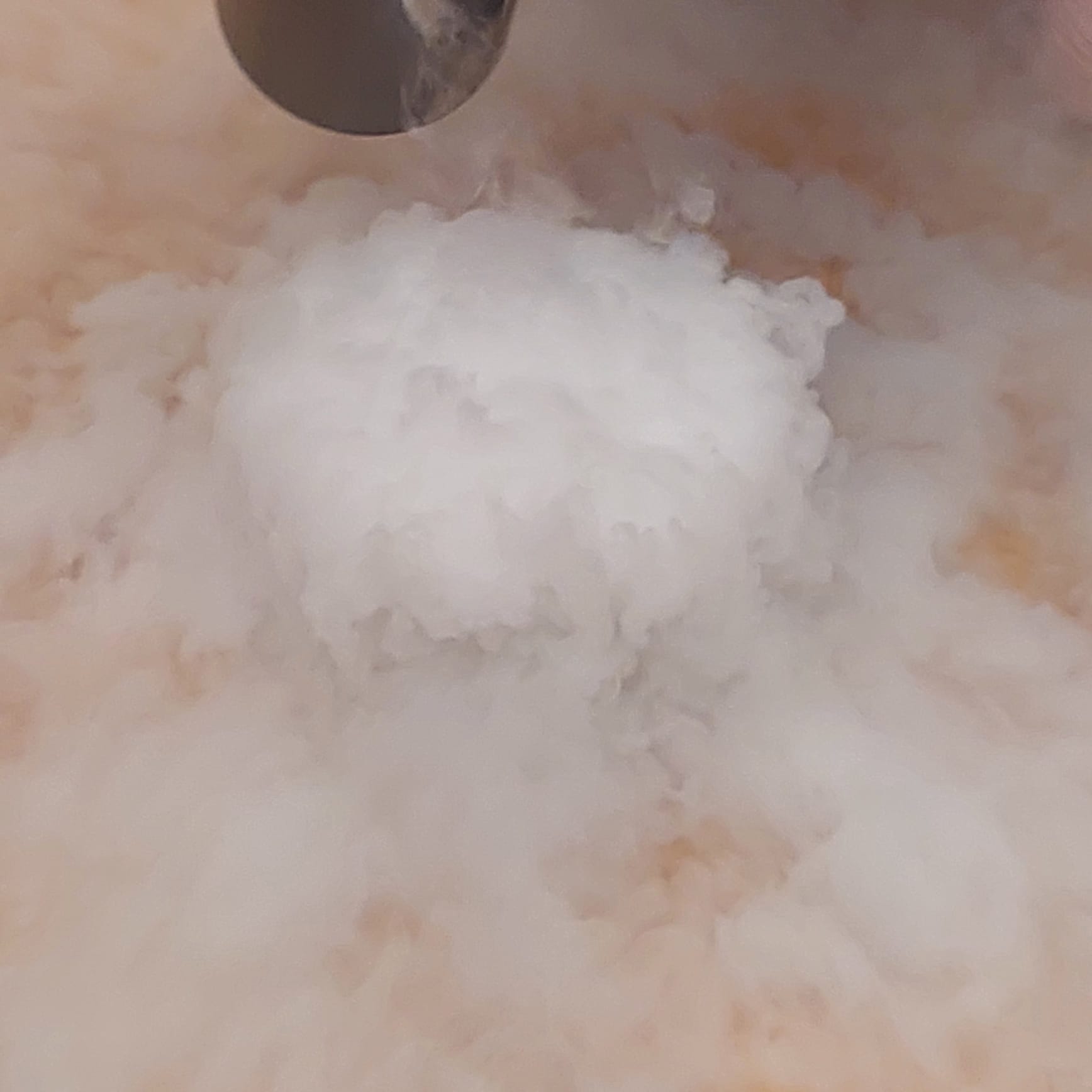 WhatsApp Image 2025-12-09 at 18.03.33 (1)