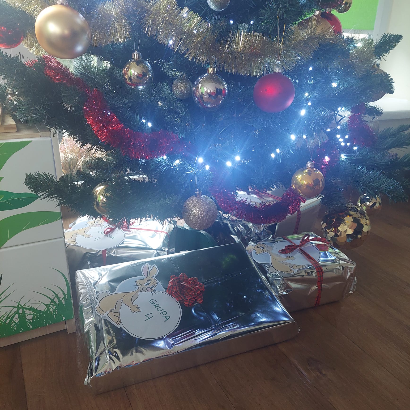 WhatsApp Image 2025-12-13 at 21.46.26