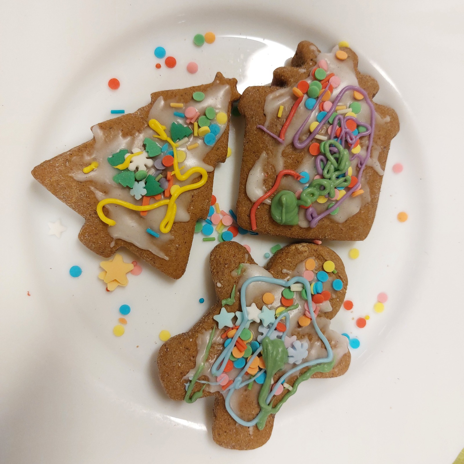 WhatsApp Image 2025-12-21 at 15.55.22 (3)