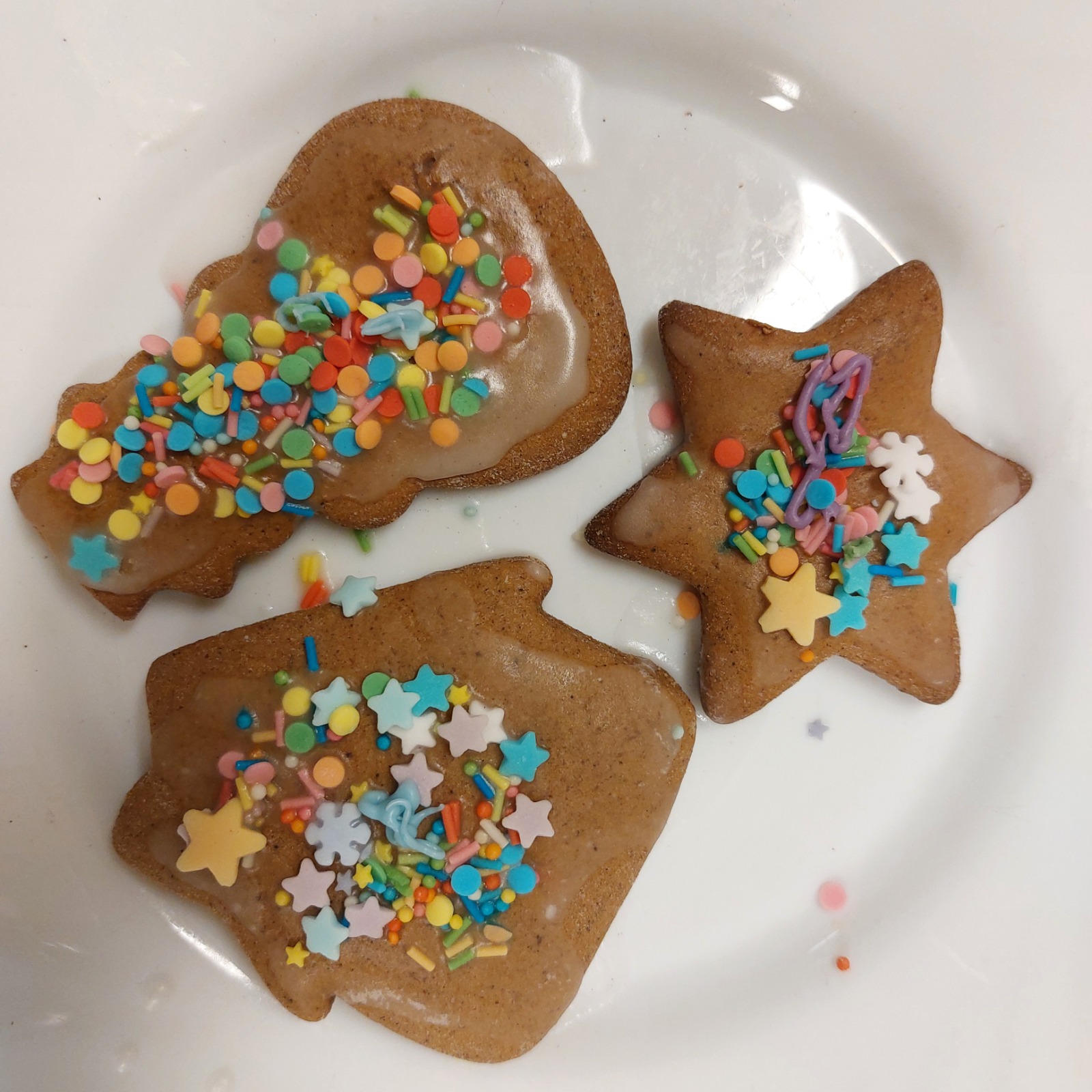 WhatsApp Image 2025-12-21 at 15.55.22 (4)