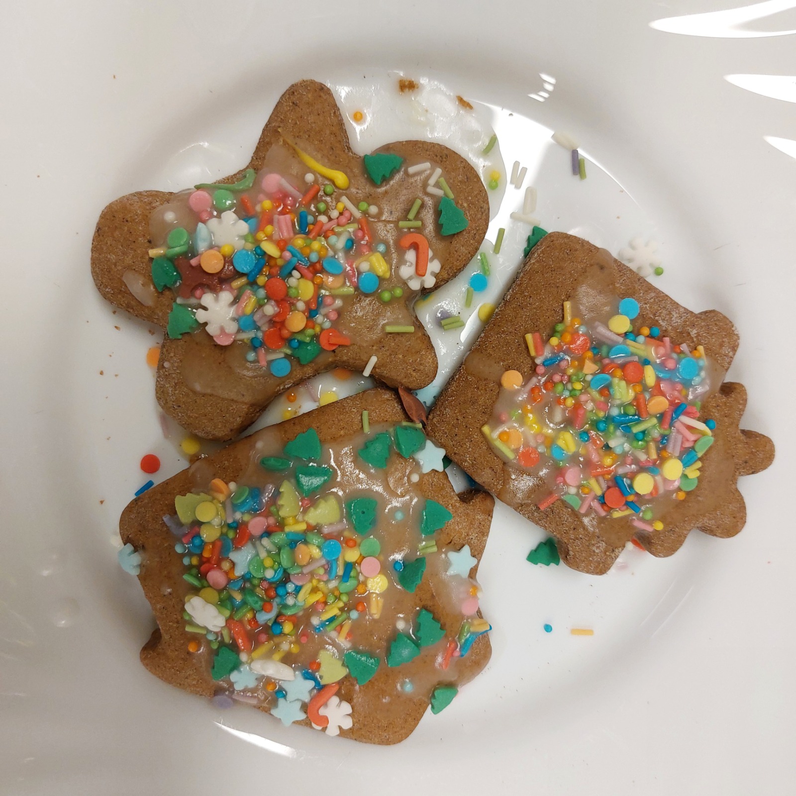 WhatsApp Image 2025-12-21 at 15.55.22 (5)