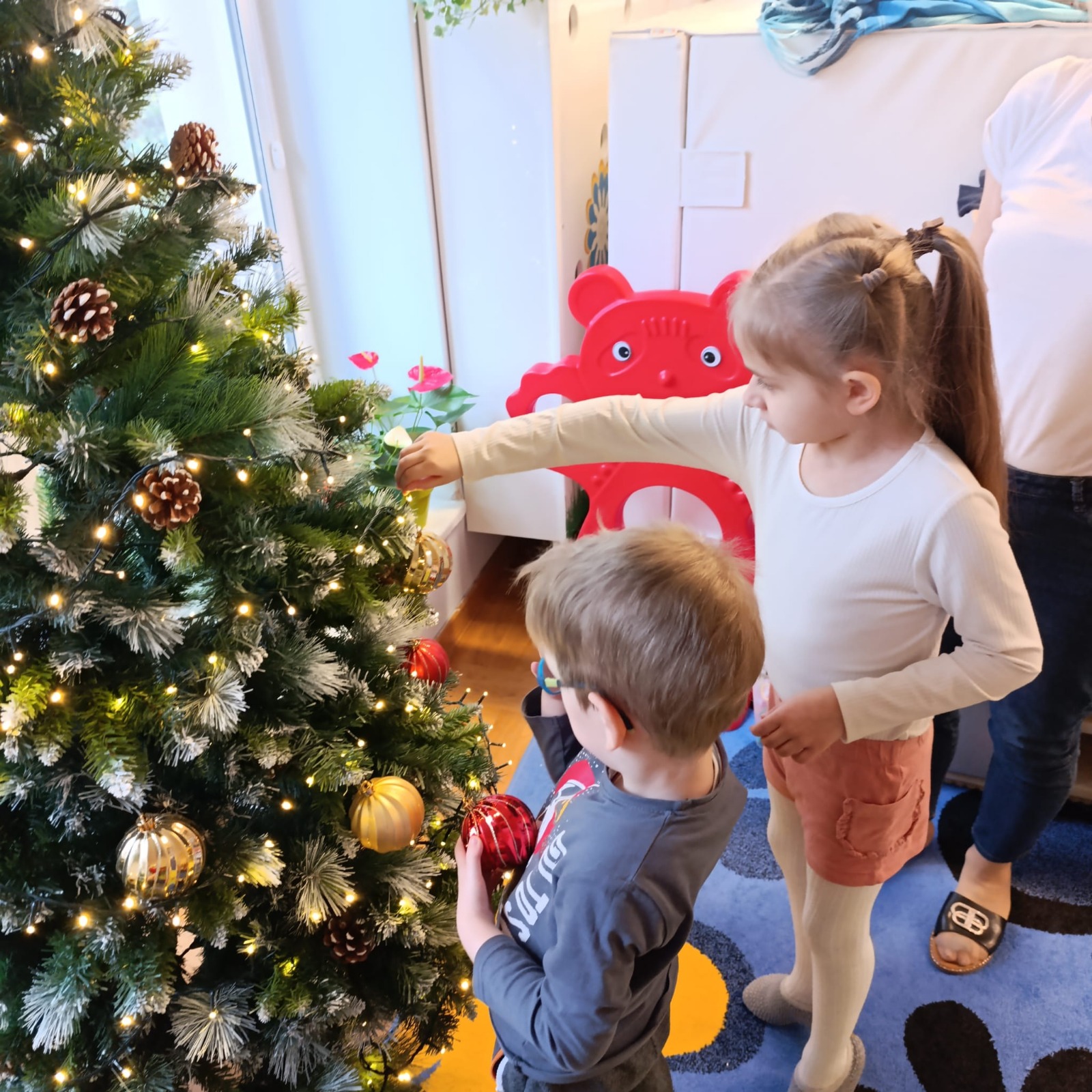 Whatsp Image 2025-12-06 at 16.19.22