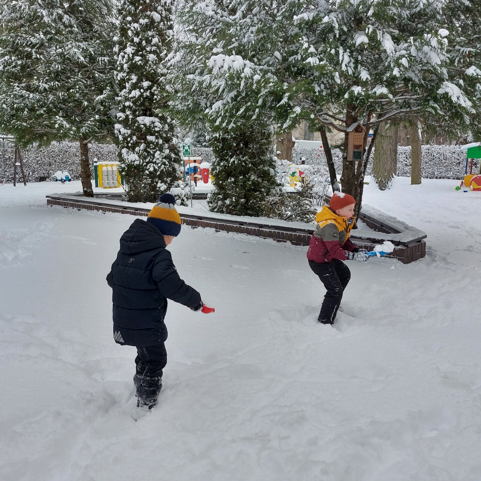 WhatsApp Image 2026-01-24 at 08.33.04 (3)