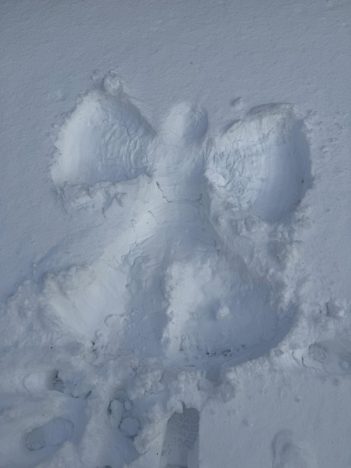 WhatsApp Image 2026-01-24 at 08.35.31