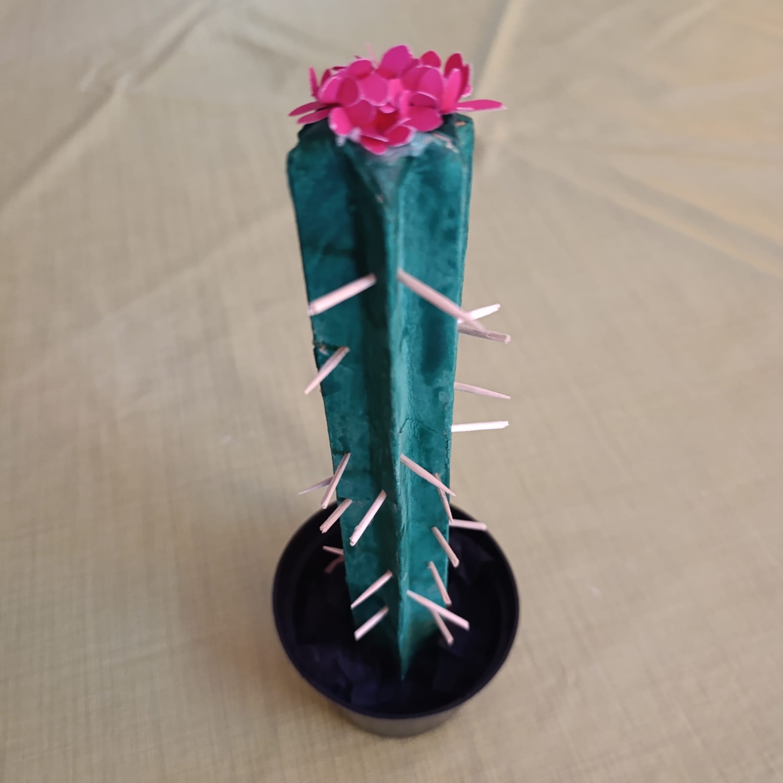 WhatsApp Image 2026-01-24 at 09.41.08 (1)