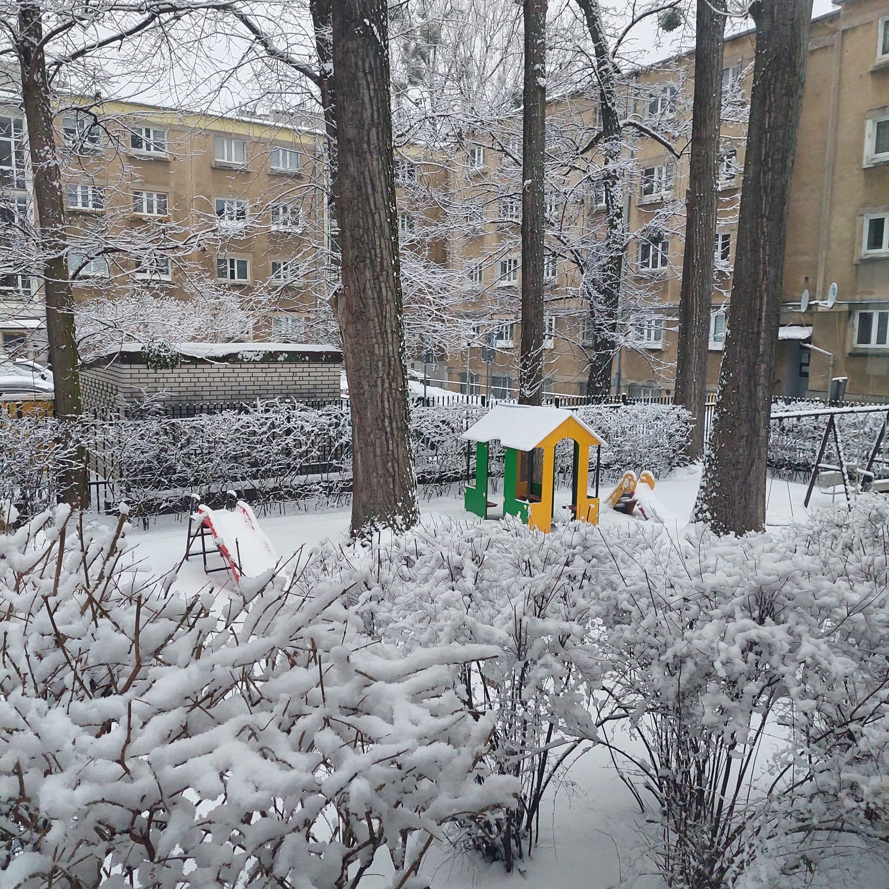 WhatsApp Image 2026-01-30 at 14.54.04