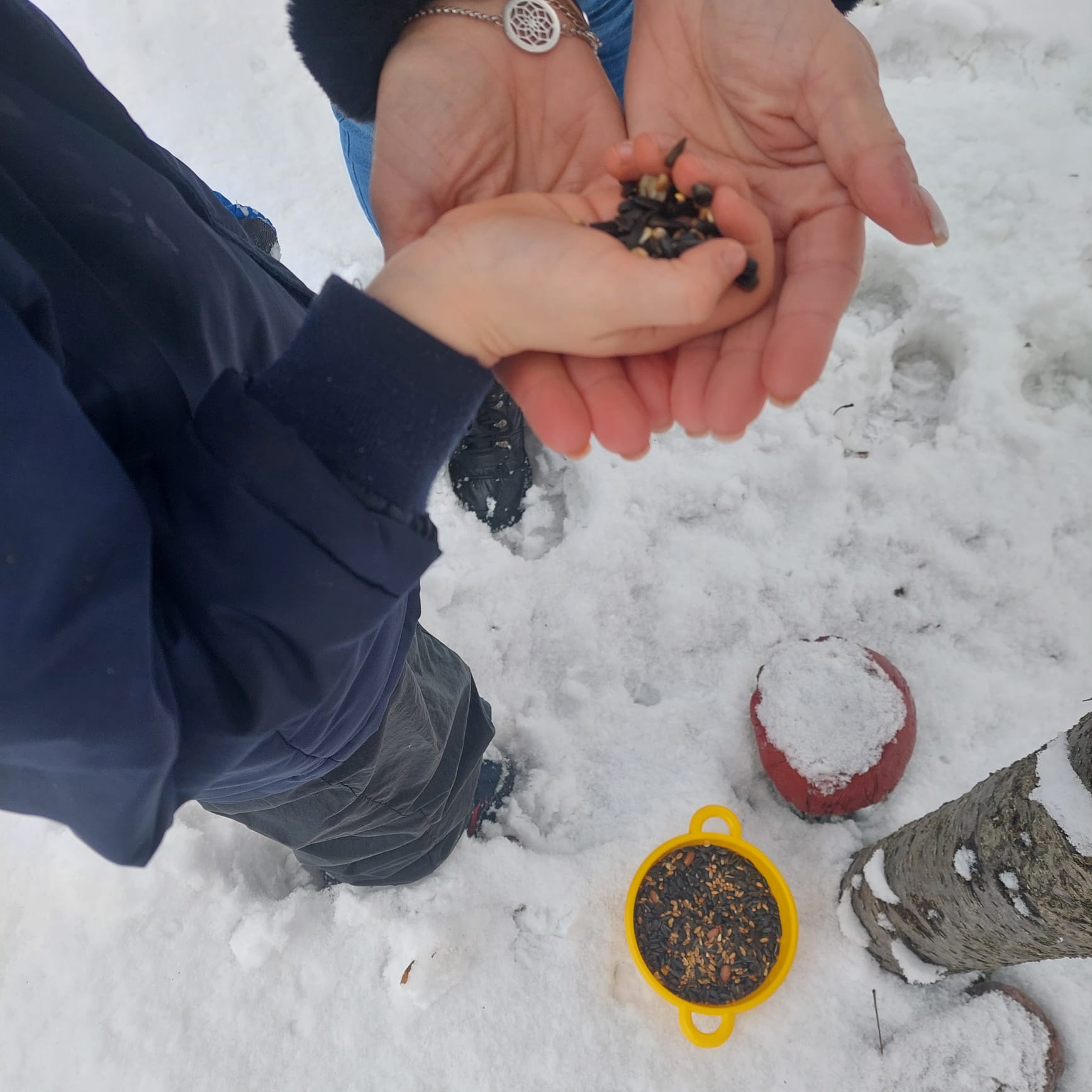 WhatsApp Image 2026-01-30 at 14.54.16